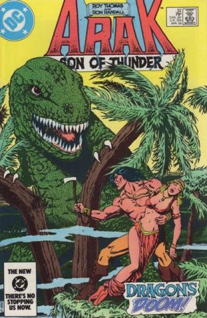 Arak Son of Thunder #32 FN; DC | we combine shipping